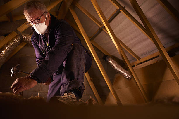 Best Eco-Friendly Insulation in South Greeley, WY