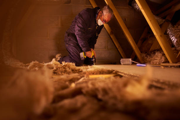 Best Energy Efficiency Insulation in South Greeley, WY